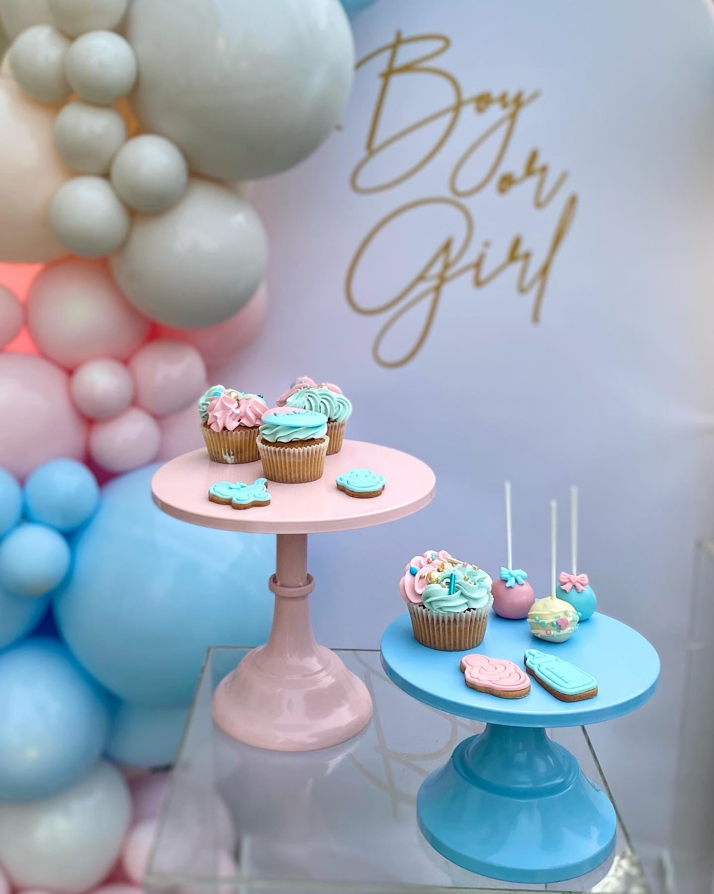 Cupcake e biscotti per Gender Reveal Boy or Girl